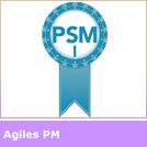 Agiles Projektmanagement